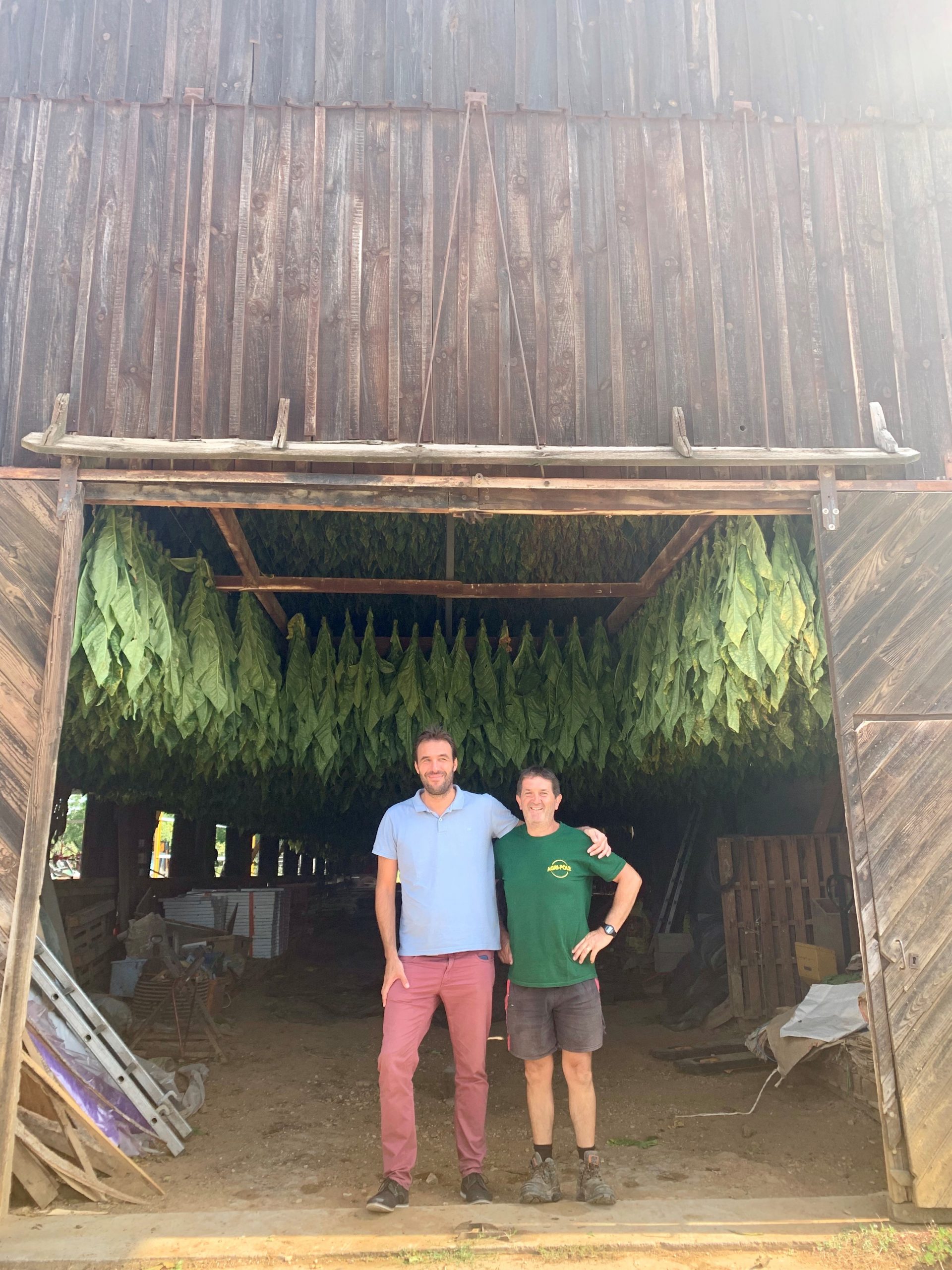 Nicotine Vapologique VDLV