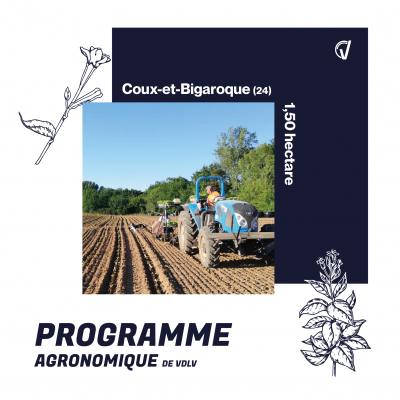 Le coux et bigaroque