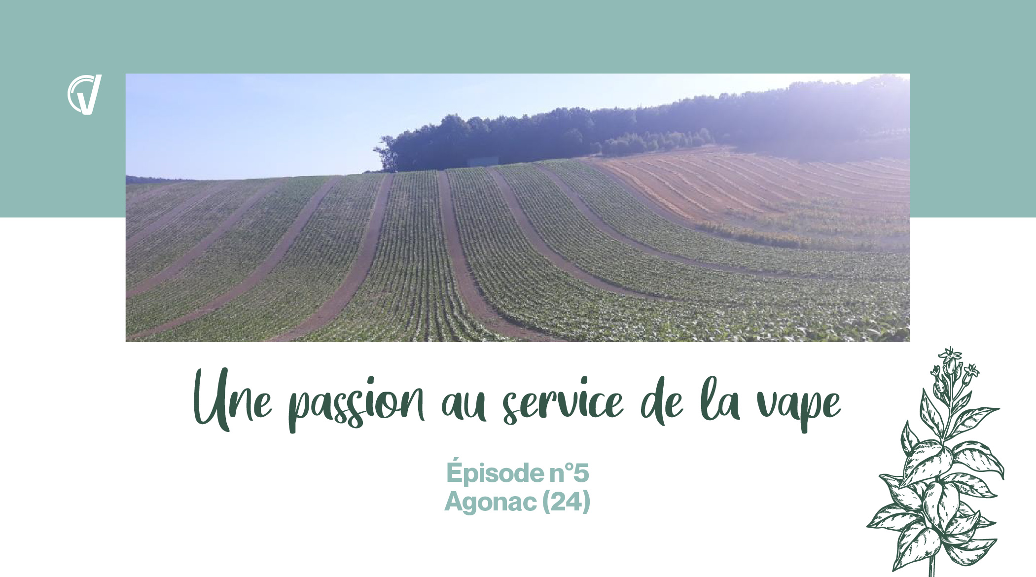 Une passion au service de la vape n°5