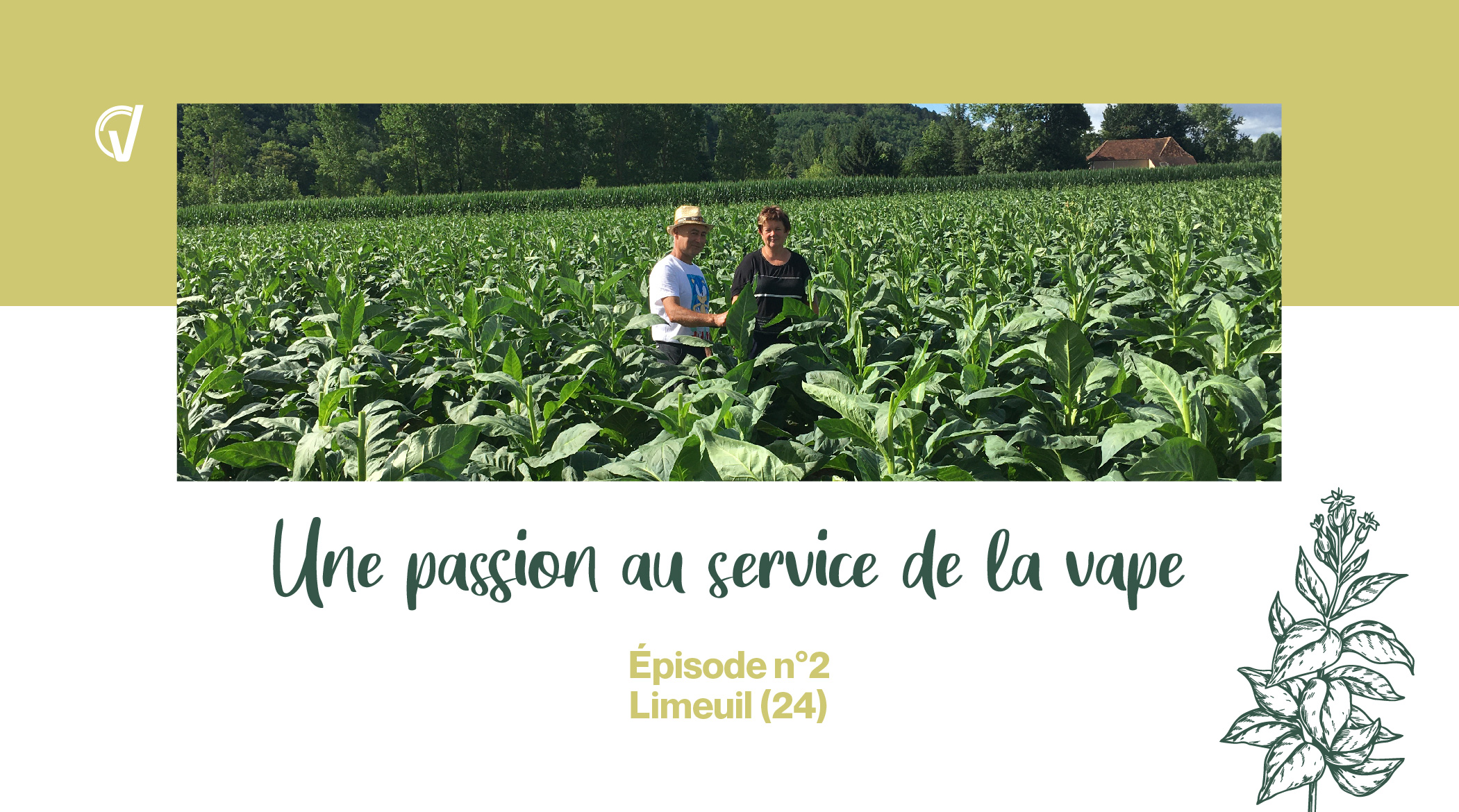 Une passion au service de la vape n°2