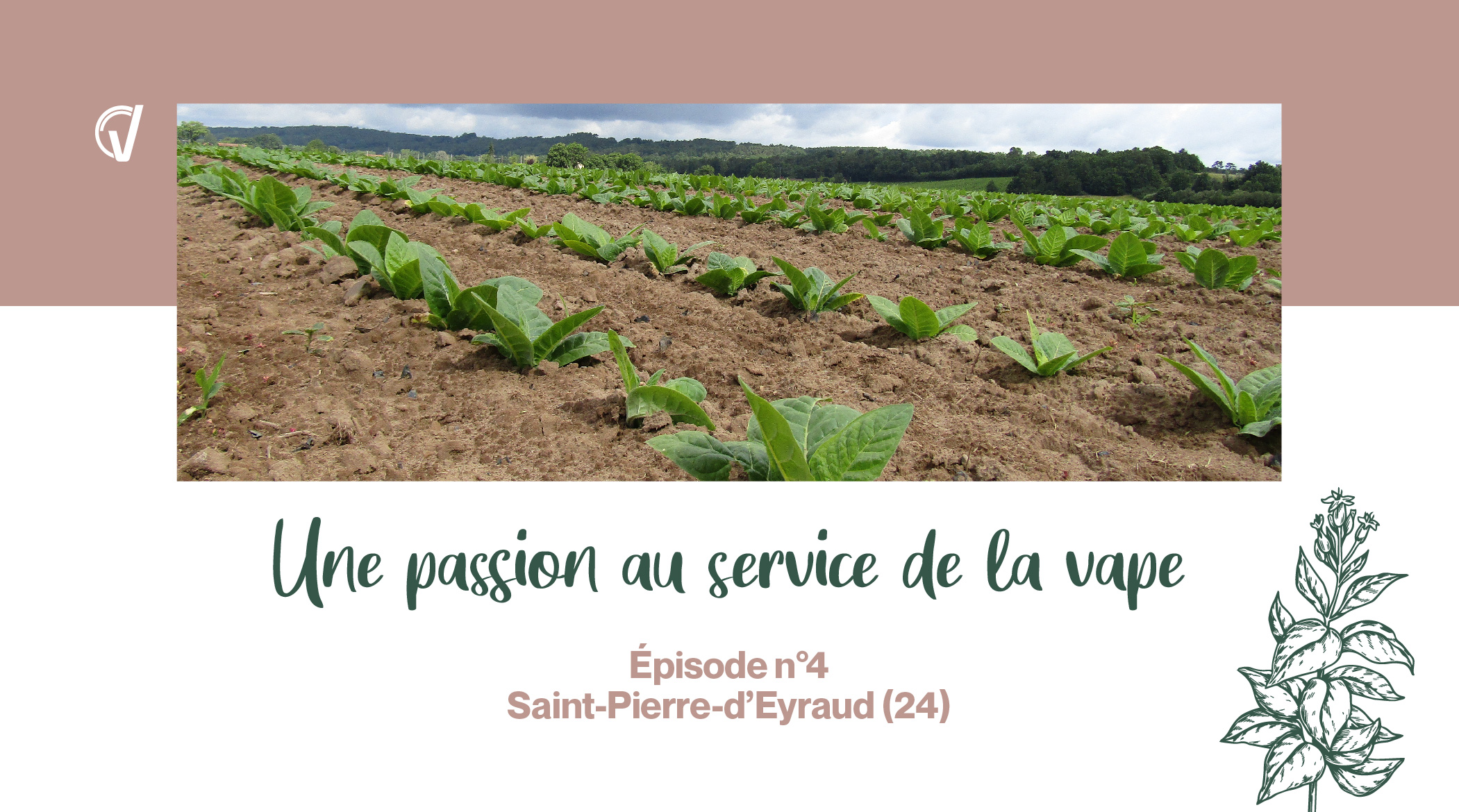 Une passion au service de la vape n°4