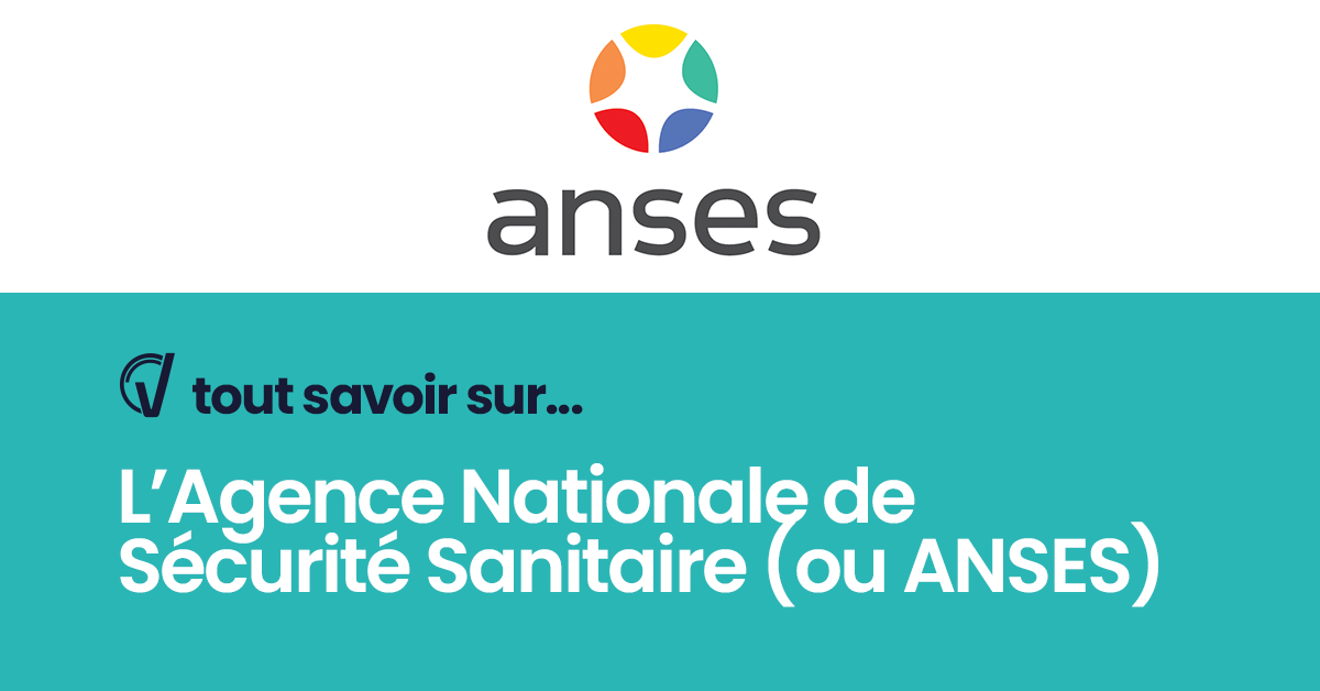 Tout savoir sur
