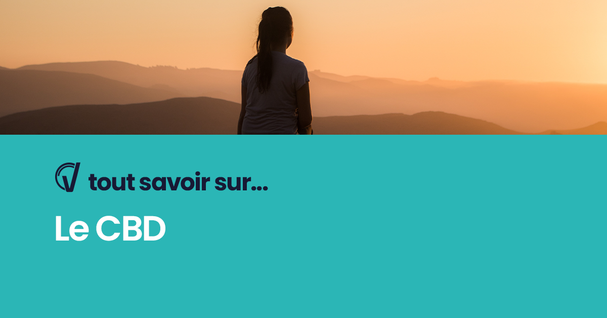 Tout savoir sur