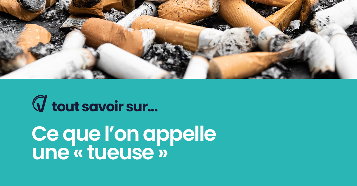 Tout savoir sur