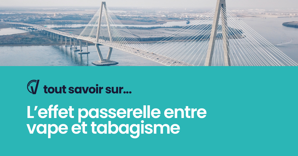 Tout savoir sur