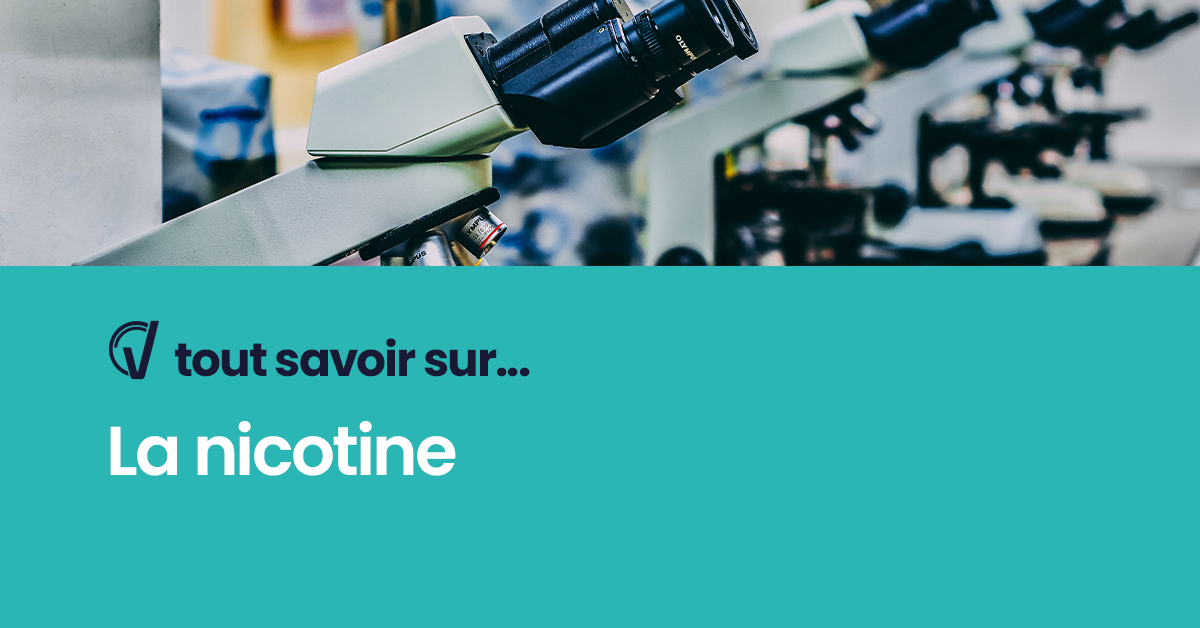 Tout savoir sur
