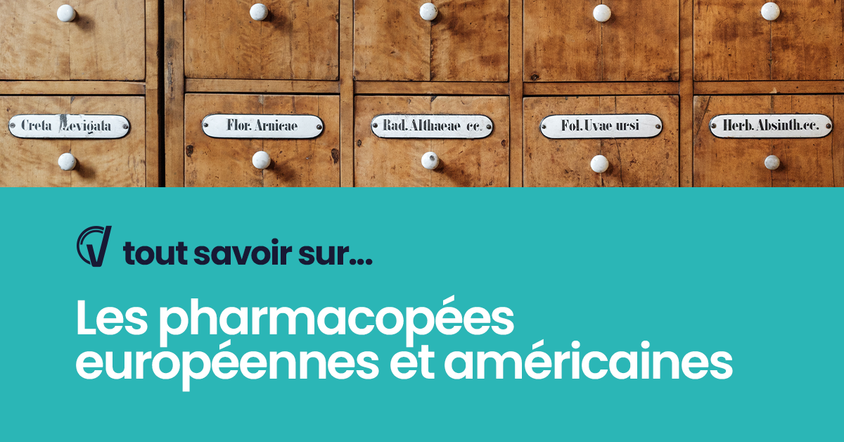 Tout savoir sur