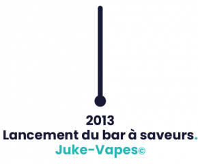 VDLV 2013