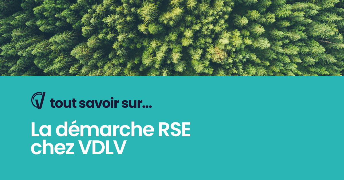 Tout savoir sur