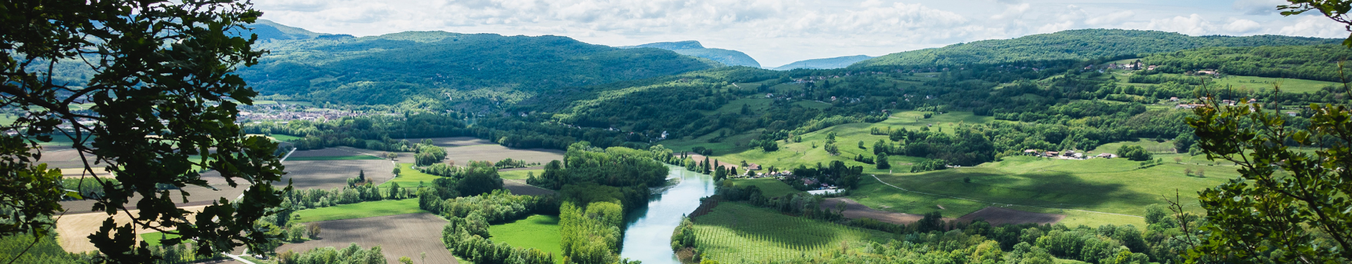 Photographie d'une vallée verdoyante au milieu de laquelle coule une rivière