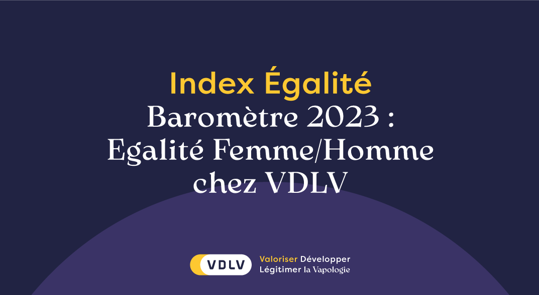 INDEX Egalité Femmes / Hommes au sein de VDLV