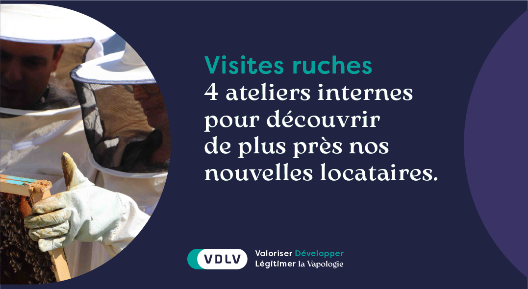 Bannières visites ruches