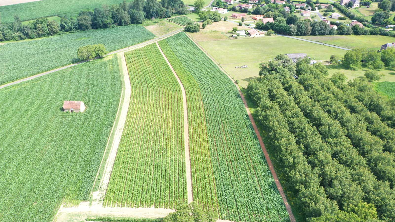 Campagne environnemental