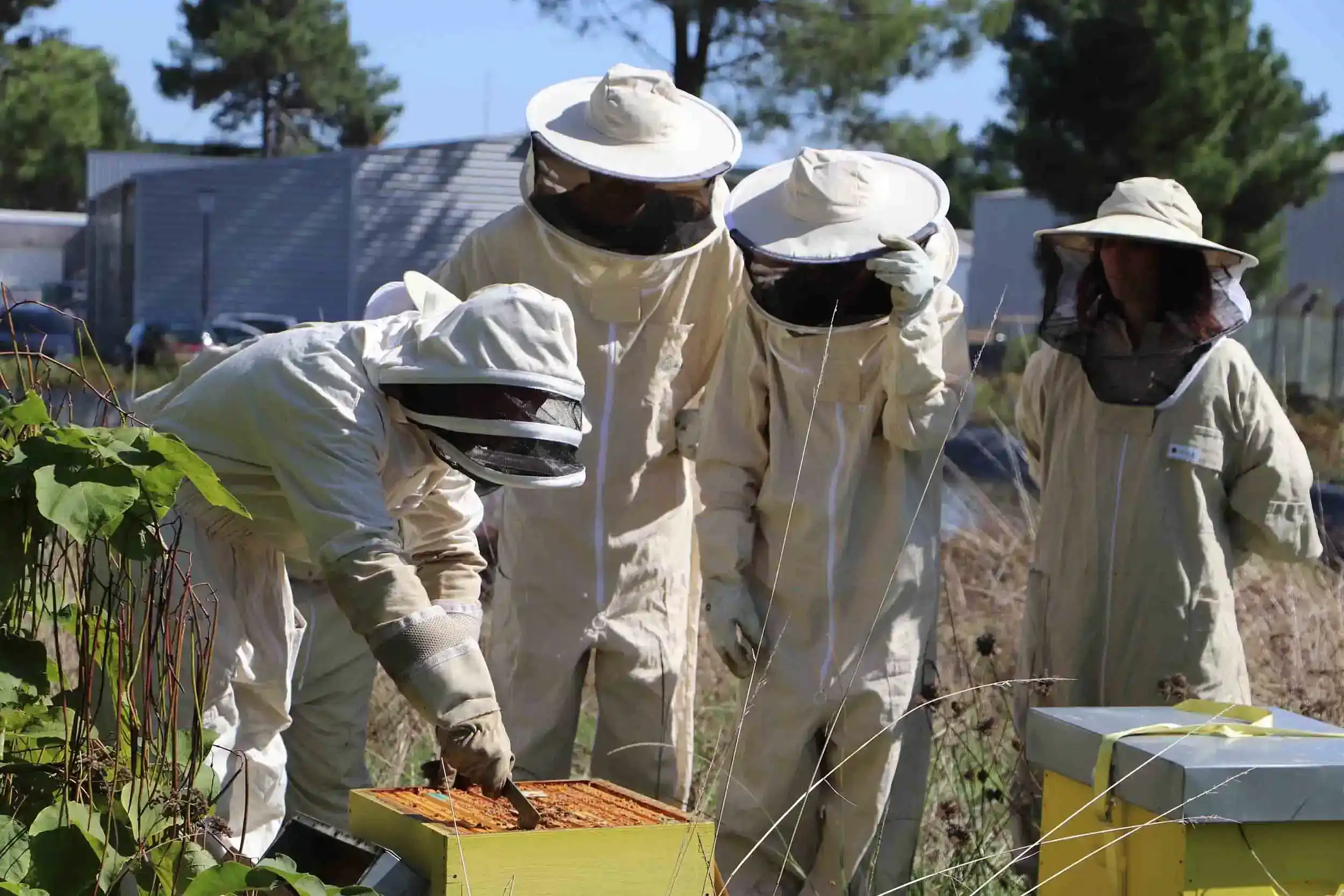 Equipe environnemental