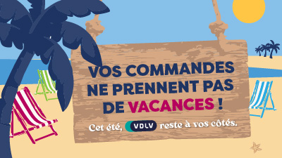 Continuité de services VDLV été